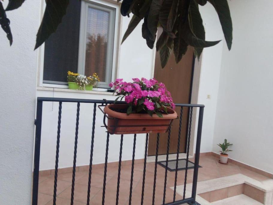 Apartamento Casa Di Cristina Fiumicino Exterior foto