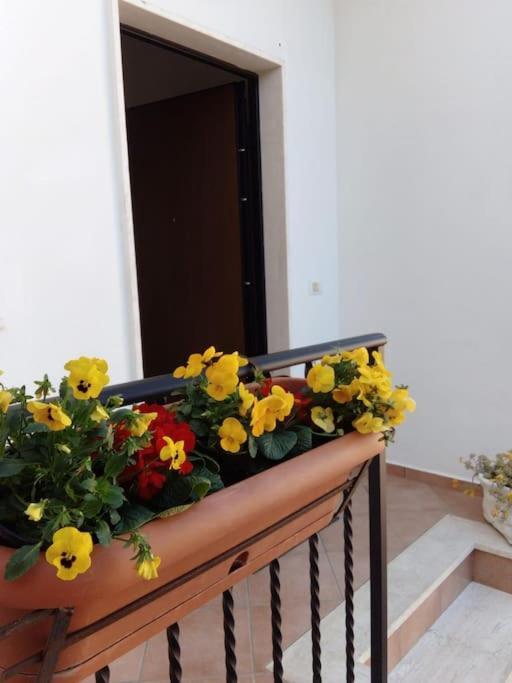 Apartamento Casa Di Cristina Fiumicino Exterior foto